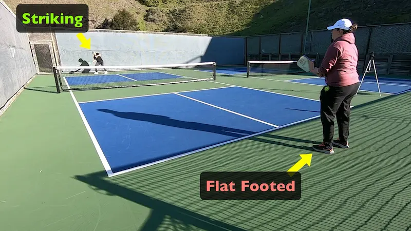 Pickleball Court Size In Feet (Pickleball Court Dimensions